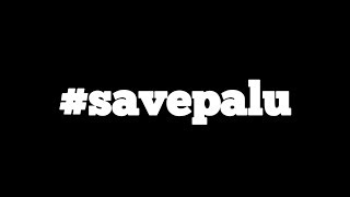 #savepalu  STOP BERITA HOAX AND HATE SPEECH pray and play