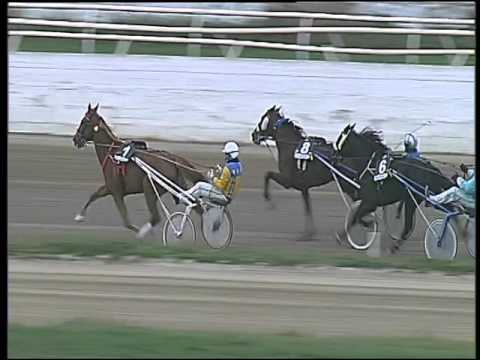 Trotto 07/02/2016 - 4° corsa