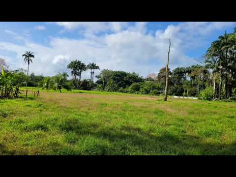 Imagen de Venta de Lotes y Terrenos en Matama - Limón Matama - LIMÓN