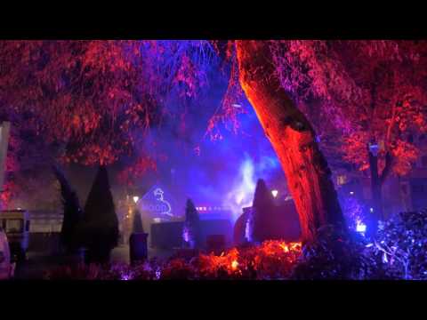 TEASER: Kari Kola - Magical Garden (GLOW 2016)