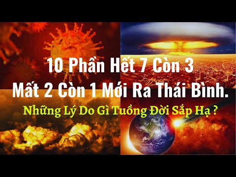 10 Phần Hết 7 Còn 3 . Mất 2 Còn 1  Mới Ra Thái Bình - NHỮNG LÝ DO GÌ TUỒNG ĐỜI SẮP HẠ ?