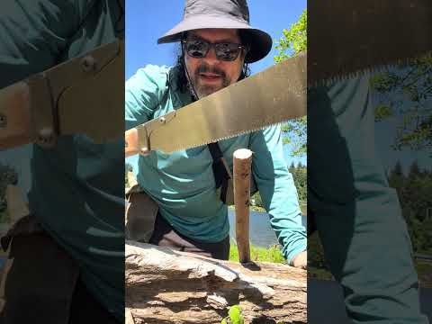 Better than my Silky? First use of the Gyokusho &ldquo;Orizuru&rdquo; folding Kataba pull saw from Japan. #saw