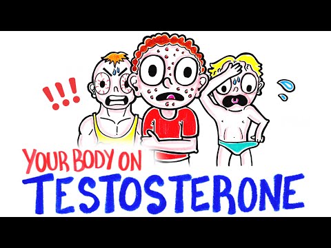 The Truth About Testosterone Supplementation: Myths vs. Facts