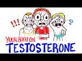 What Happens When You Take Testosterone?