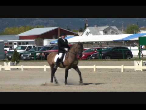 *Sandman's Magic First Level Test One - April 2010