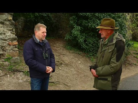 Reviczkyvel az Erdőben – Natúrparkok – 2022 - II. évad - 1/6 - Gerecse Natúrpark