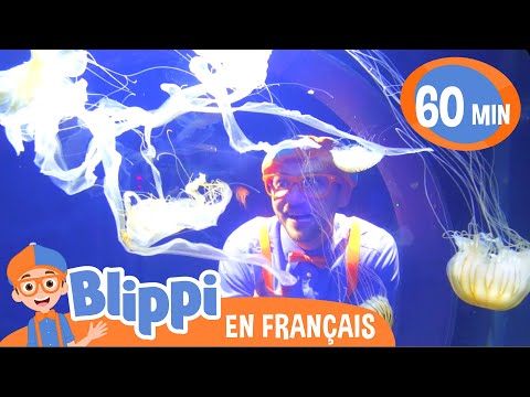Blippi visite un zoo (Point Defiance Zoo) | Blippi en français | Vidéos éducatives pour enfants