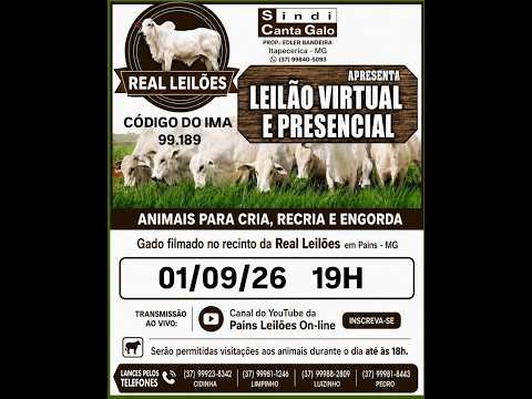 154º Leilão Virtual - Real Leilões - Pains MG