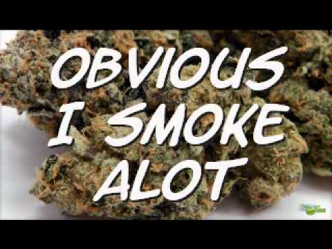 Obvious I Smoke Alot - DjRazor Ft.Smokey - OTL