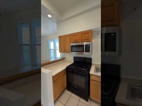 1334 N. Downing St - Video 2 of 2