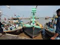 Sassoon Dock Mumbai I Pescherecci Pronti Ad Uscire Per La Notte