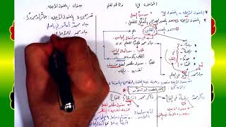 صورة 47 √ المفعول لأجله