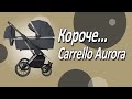 миниатюра 0 Видео о товаре Коляска 2 в 1 Carrello Aurora CRL-6505 / 2023, Space Black (Черный)