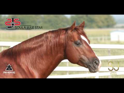 PRIMA SOULA - FAZENDA TAIOBA - GOIÁS HORSE SHOW
