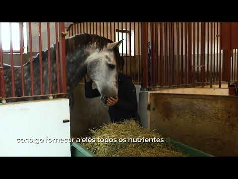 PRIME HAY João Torrão and Monte Velho Equiresort