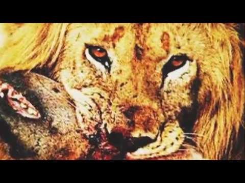 JasonLaCoca a.k.a ¨Kianu¨&Xrisi - Хищници