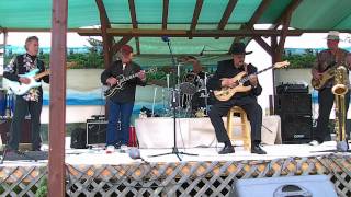 Nokie Edwards - The Water  Is Wide