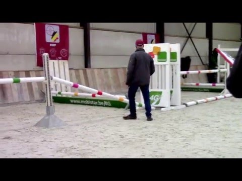 Nobelina T / Nobel Nagano/Charivari/Diamond Hitt