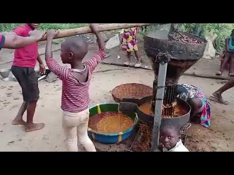 Localized Palm oil production in Pendembu,  Sierra Leone