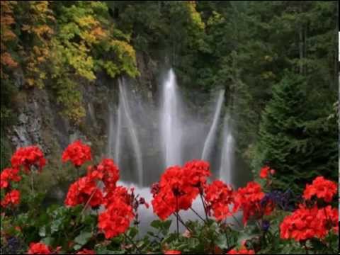 Ala Bragari - In doi vrem să fim impreuna