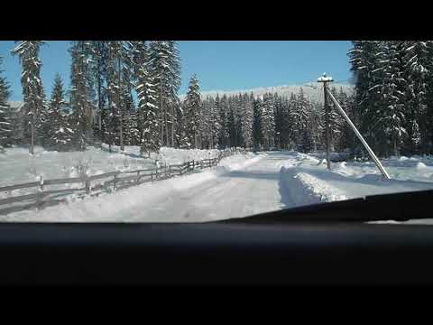 Marian Olaru Bilbor 02