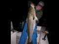 Striped Bass Fishing With Bucktails 3 Way Rigs