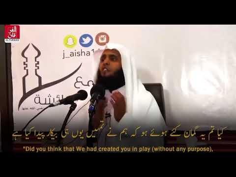 Quran 51:56 & 23:115 [Our Purpose Of Life]