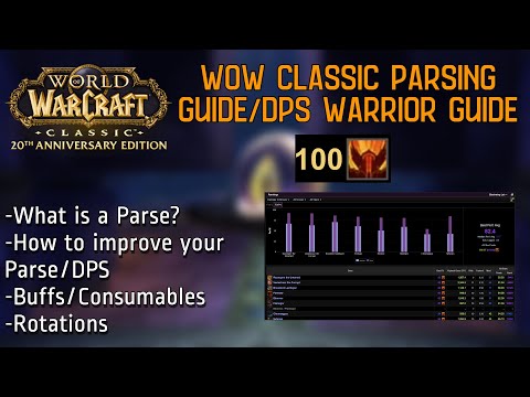 Comprehensive Parsing Guide | Warrior DPS Guide (Improve your DPS) | Classic WoW Anniversary