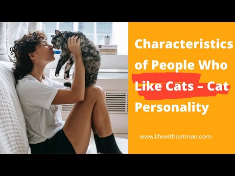 Characteristics of People Who Like Cats – Cat Personality @Life with Catman