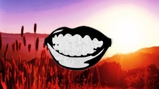 Fat Freddy's Drop - Flashback (Drauf & Dran "dancefloorbootcut" Remix)