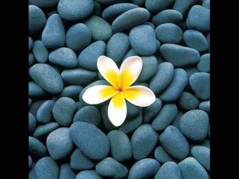 Bryn Christopher The Quest by Demi