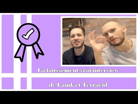 La faussement vrai interview de Laink et Terracid
