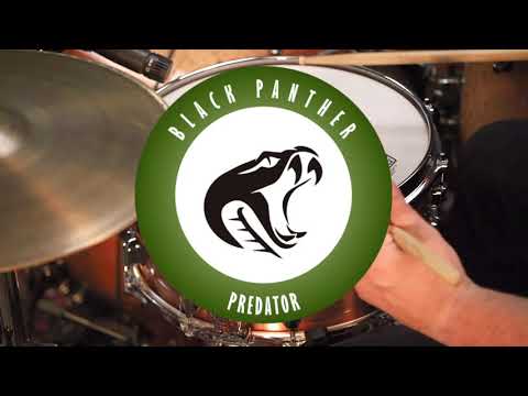 Mapex Black Panther 14x6 Predator Snare Drum - Copper