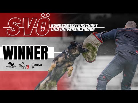 Winner // SVÖ Bundesmeisterschaft 2023 // workingdog