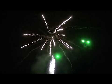 Funke Cakebox 16Sh 30mm  Tropenpalmen