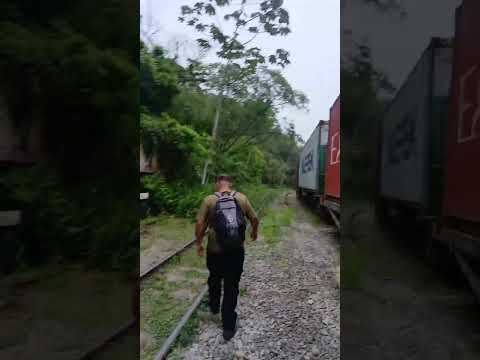 #trilhas olimpo morretes parana