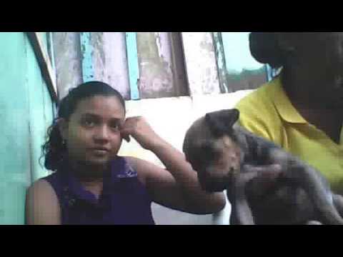 Vacaciones en Casa:El perro scobby de los padres de marifer