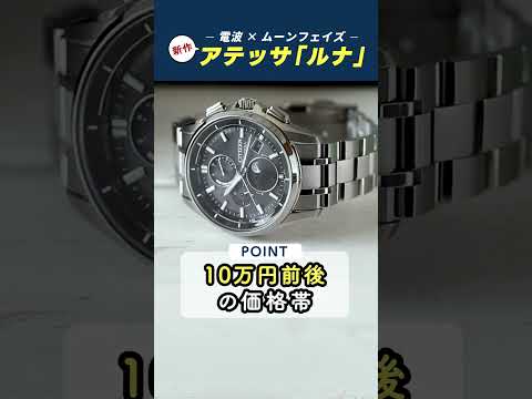 ルナプログラムについて詳しく解説