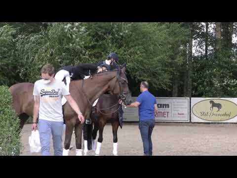 CDI SINT TRUIDEN 2021