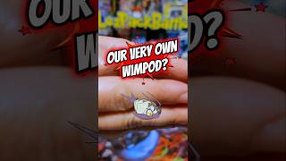 Our Very Own Wimpod? #Pokémon #shorts #Isopods #algorithm