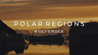 Luxury Polar Expedition Cruise with Silversea | Arctic & Antarctic Wildlife
