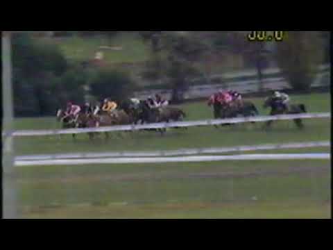 1991 Feehan Stakes - Mannerism