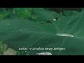 New Kokborok WhatsApp 2022 WhatsApp Status New Romantic Watwi Sek Sek Syrex Exz1