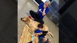 Mom Breaks Down In Tears When Son with Autism Meets Service Dog