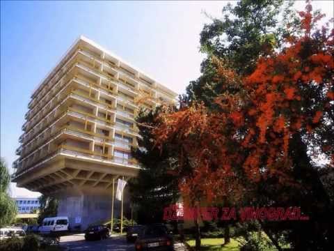 Pjesma o Miladinu Šobiću  Dušan Mandić Šejn sa koncerta posvećenog Šobiću-Zvornik 2013