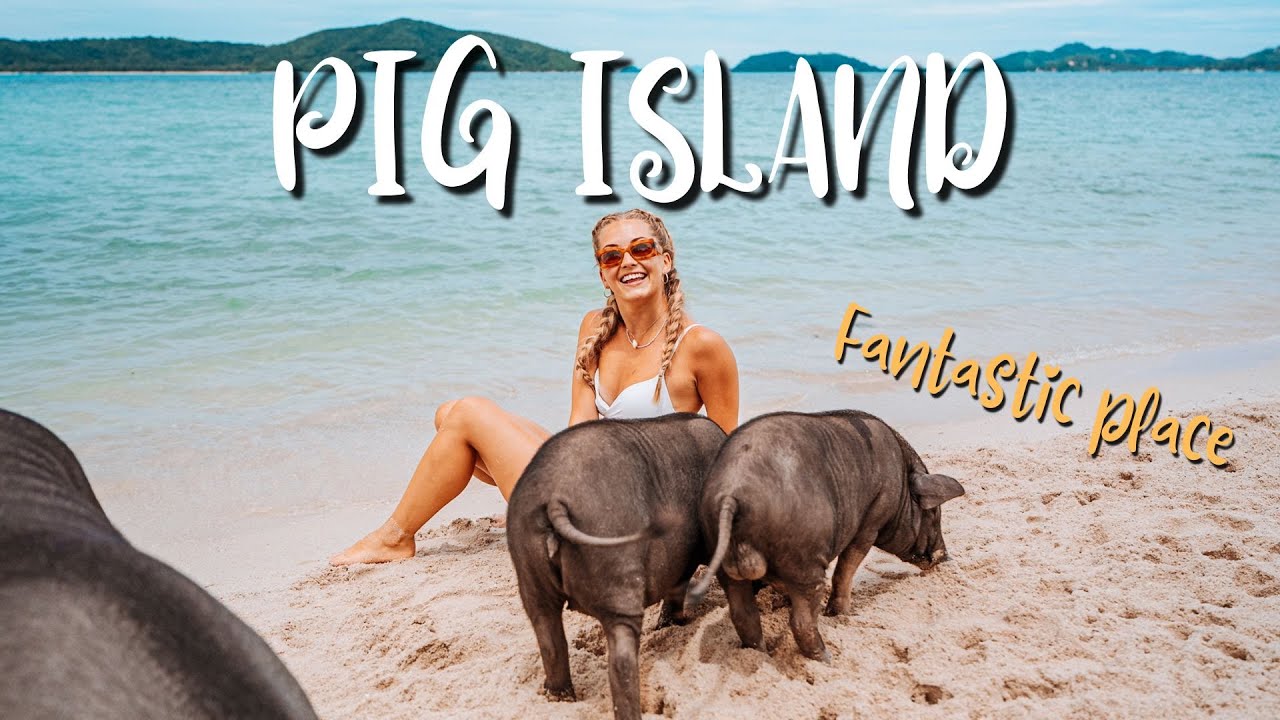 Your captivating guide to exploring the whimsical Pig Island.