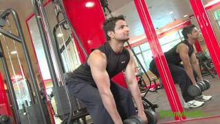 Dumbbell Deadlift Exercise