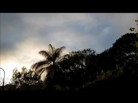 Astor Piazzolla Y Su Quinteto Tango Nuevo, Den Haag (1985)