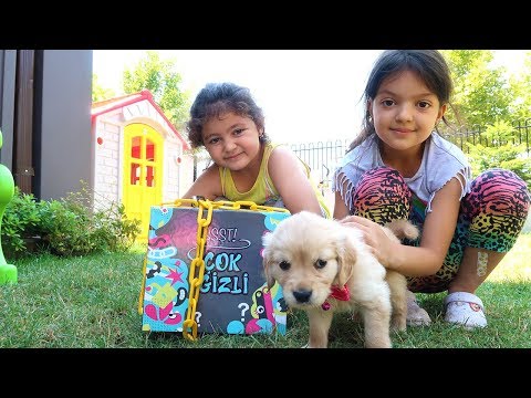 Köpeğim Gizli Kilitli Kutuyu Buldu - Elif Öykü and Masal Pretend Play Lock Stars , Family fun Video
