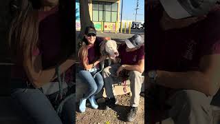 Video preview image #1 Mutt Puppy For Sale in Pasadena, CA, USA